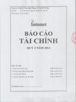 Báo cáo tài chính công ty mẹ quý 2 năm 2014 - Công ty Cổ phần Công nghệ Mạng và Truyền thông