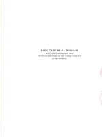 Báo cáo tài chính hợp nhất năm 2011 (đã kiểm toán) - Công ty Cổ phần Đầu tư Alphanam