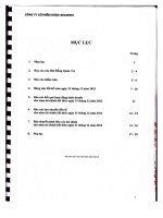 Báo cáo tài chính năm 2012 (đã kiểm toán) - Công ty cổ phần Dược Becamex