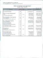 Báo cáo tài chính hợp nhất quý 4 năm 2012 - Công ty Cổ phần Đầu tư Alphanam