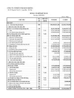 Báo cáo tài chính quý 3 năm 2010 - Công ty Cổ phần Xuất nhập khẩu Hàng không