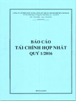 Báo cáo tài chính hợp nhất quý 1 năm 2016 - Công ty cổ phần Đầu tư Hạ tầng Kỹ thuật T.P Hồ Chí Minh