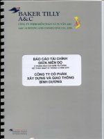 Báo cáo tài chính quý 2 năm 2014 (đã soát xét) - Công ty Cổ phần Xây dựng và Giao thông Bình Dương
