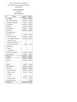 Báo cáo tài chính quý 1 năm 2009 - Công ty Cổ phần Cơ khí và Xây dựng Bình Triệu