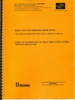 Báo cáo tài chính công ty mẹ năm 2011 (đã kiểm toán) - Công ty Cổ phần Đầu tư Phát triển Công nghiệp - Thương mại Củ Chi