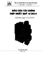 Báo cáo tài chính hợp nhất quý 4 năm 2014 - Công ty Cổ phần Đầu tư Xây dựng Bình Chánh
