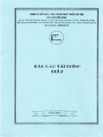 Báo cáo tài chính quý 2 năm 2013 - Công ty cổ phần Đầu tư và Phát triển Đô thị Dầu khí Cửu Long