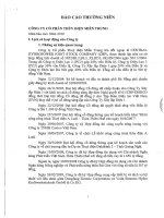 Báo cáo thường niên năm 2010 - Công ty Cổ phần Thủy điện miền Trung