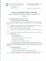 Báo cáo thường niên năm 2009 - Công ty Cổ phần Đầu tư Phát triển Công nghiệp - Thương mại Củ Chi