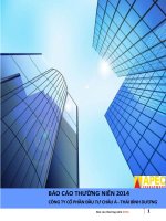 Báo cáo thường niên năm 2014 - Công ty Cổ phần Đầu tư Châu Á - Thái Bình Dương