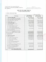 Báo cáo tài chính quý 3 năm 2009 - Công ty Cổ phần Thuốc sát trùng Cần Thơ