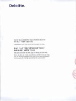 Báo cáo tài chính hợp nhất năm 2013 (đã kiểm toán) - Ngân hàng Thương mại cổ phần Đầu tư và Phát triển Việt Nam