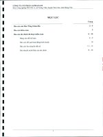 Báo cáo tài chính công ty mẹ năm 2010 (đã kiểm toán) - Công ty Cổ phần Đầu tư Alphanam
