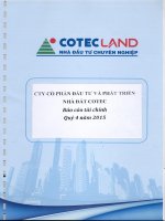 Báo cáo tài chính công ty mẹ quý 4 năm 2015 - Công ty Cổ phần Đầu tư và Phát triển Nhà đất COTEC