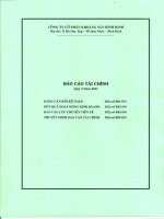 Báo cáo tài chính quý 3 năm 2011 - Công ty cổ phần Khoáng sản Bình Định