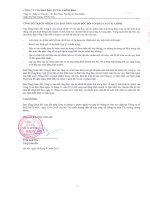 Báo cáo tài chính năm 2011 (đã kiểm toán) - Công ty cổ phần Đầu tư tài chính BIDV