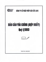 Báo cáo tài chính hợp nhất quý 1 năm 2013 - Công ty Cổ phần Thủy Sản Cửu Long