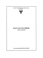 Báo cáo tài chính quý 4 năm 2012 - Công ty Cổ phần Chế biến và Xuất nhập khẩu Thuỷ sản Cà Mau