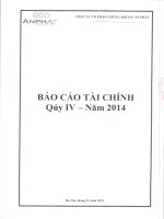Báo cáo tài chính quý 4 năm 2014 - Công ty Cổ phần Chứng khoán An Phát