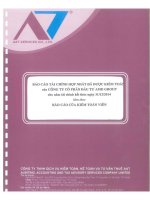 Báo cáo tài chính hợp nhất năm 2014 (đã kiểm toán) - Công ty cổ phần Đầu tư AMD Group