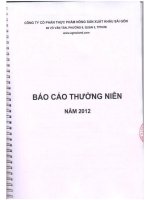 Báo cáo thường niên năm 2012 - Công ty cổ phần Thực phẩm Nông sản Xuất khẩu Sài Gòn