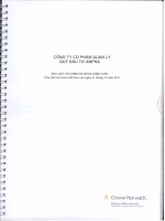Báo cáo tài chính năm 2011 (đã kiểm toán) - Công ty Cổ phần Quản lý quỹ đầu tư An Phát