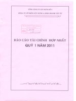 Báo cáo tài chính hợp nhất quý 1 năm 2011 - Công ty Cổ phần Xây dựng và Kinh doanh Vật tư