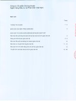 Báo cáo tài chính quý 2 năm 2012 (đã soát xét) - Công ty cổ phần Chứng khoán Ngân hàng Đầu tư và Phát triển Việt Nam