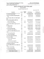 Báo cáo tài chính quý 2 năm 2015 - CTCP Tập đoàn Khoáng sản Á Cường