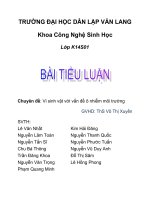báo cáo vs chủ đề vi sinh vật với vấn đề ô nhiễm môi trường