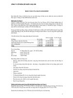 Báo cáo tài chính năm 2008 (đã kiểm toán) - Công ty Cổ phần Cấp nước Chợ Lớn