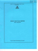 Báo cáo tài chính công ty mẹ quý 1 năm 2015 - Công ty Cổ phần Chế biến và Xuất nhập khẩu Thuỷ sản Cà Mau