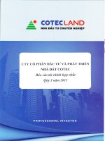 Báo cáo tài chính hợp nhất quý 3 năm 2015 - Công ty Cổ phần Đầu tư và Phát triển Nhà đất COTEC