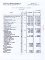 Báo cáo tài chính quý 1 năm 2010 - Công ty Cổ phần Chứng khoán Nông nghiệp và Phát triển Nông thôn