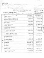 Báo cáo tài chính quý 2 năm 2008 - Công ty Cổ phần Đầu tư và Xây dựng COTEC