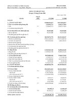 Báo cáo tài chính quý 1 năm 2009 - Công ty Cổ phần Cà phê An Giang