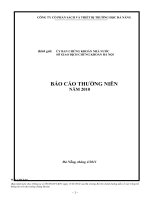 Báo cáo thường niên năm 2010 - Công ty Cổ phần Sách và Thiết bị trường học Đà Nẵng