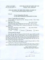 Báo cáo tài chính quý 4 năm 2012 - Công ty Cổ phần Đầu tư Xây dựng 3-2