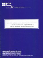 Báo cáo tài chính năm 2009 (đã kiểm toán) - Công ty Cổ phần Khai thác và Chế biến Khoáng sản Bắc Giang