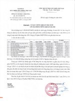Báo cáo tài chính quý 1 năm 2016 - Công ty Cổ phần COKYVINA