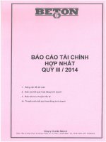 Báo cáo tài chính hợp nhất quý 3 năm 2014 - Công ty Cổ phần Beton 6