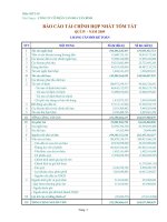 Báo cáo tài chính quý 4 năm 2009 - Công ty Cổ phần Văn hóa Tân Bình