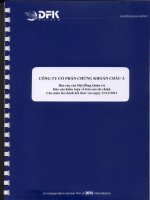Báo cáo tài chính năm 2011 (đã kiểm toán) - Công ty Cổ phần Chứng khoán ASC