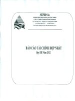 Báo cáo tài chính hợp nhất quý 3 năm 2012 - Công ty Cổ phần Xuất nhập khẩu Thủy sản An Giang