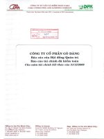 Báo cáo tài chính công ty mẹ năm 2009 (đã kiểm toán) - Công ty Cổ phần Gò Đàng