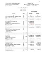 Báo cáo tài chính quý 3 năm 2008 - Công ty Cổ phần Cơ khí và Xây dựng Bình Triệu