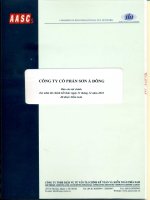 Báo cáo tài chính năm 2010 (đã kiểm toán) - Công ty Cổ phần Sơn Á Đông