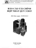 Báo cáo tài chính hợp nhất quý 3 năm 2015 - Công ty Cổ phần Đầu tư Xây dựng Bình Chánh