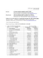 Báo cáo tài chính quý 4 năm 2008 - Công ty cổ phần Xây dựng và Kinh doanh Địa ốc Hoà Bình