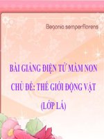 Bài giảng điện tử mầm non lớp Lá chủ đề: Thế giới động vật